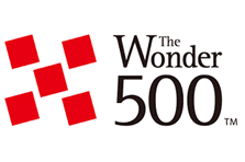 The Wonder 500TM